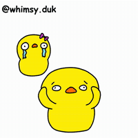 Couple Duck GIF