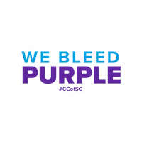 South Carolina Athletics Sticker