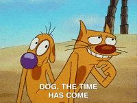 nicksplat GIF