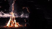 jugendleiter campfire feuer camp fire zeltlager GIF