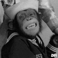 Happy Beverly Hillbillies GIF by Laff