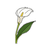 Flower Bloom Sticker