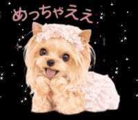 Love It Dog GIF