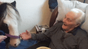 Grandads Heartwarming Surprise on his 96th Birthda