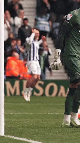 West Brom Styles GIF by West Bromwich Albion