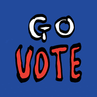 Usa Vote GIF