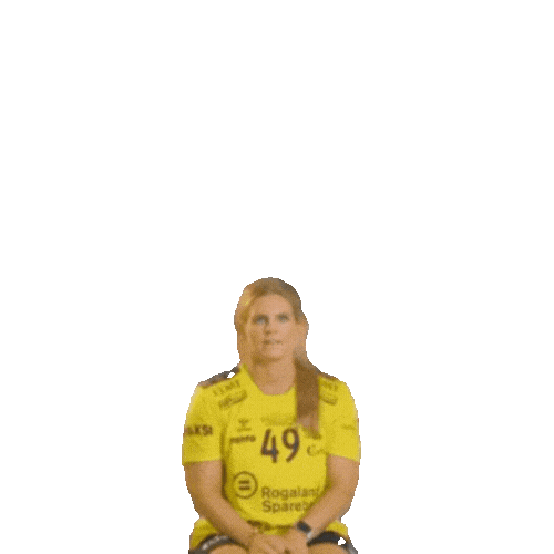 Rema1000Ligaen Sticker by Norsk Topphåndball