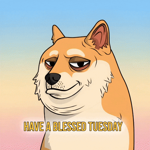 Sarcastic Shiba Inu GIF by Doge Pound