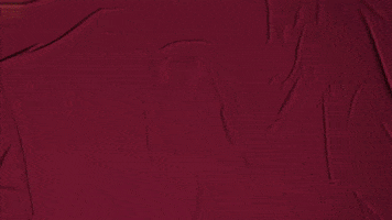 College Baseball GIF by Pearl River Athletics