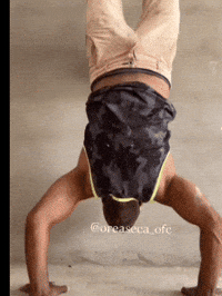 Obra Forte GIF