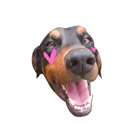 Sticker by MARDYCOLOR