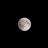 moon GIF