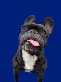 Kb Im Ready GIF by vivelemerde