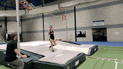 Bsubeavers GIF by Bemidji State Beavers