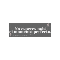 Manifestacion Manifiesta Sticker by Maïté Issa