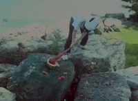 the lamb destroyer GIF by Hardly Art