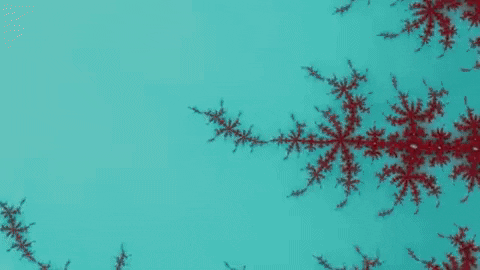 Benoit Mandelbrot Lsd GIF by xponentialdesign
