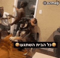 Hebrew GIF