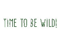 Time To Bremen Sticker by Horn to be Wild Festival