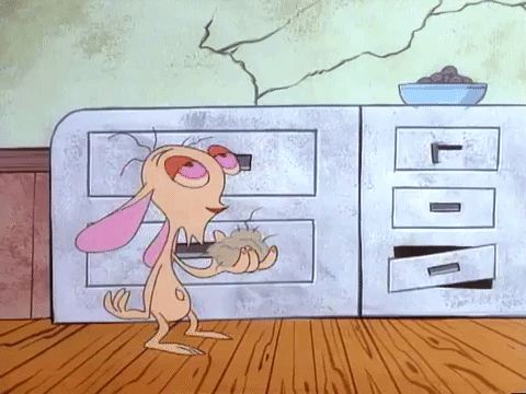 ren and stimpy nicksplat GIF