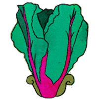 wonderfruit 2018 Sticker by Wonderfruit Festival