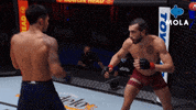 Angry Ultimate Fighting Championship GIF by MolaTV