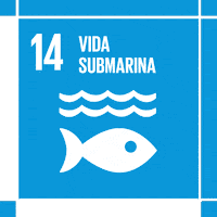 Ods Act4Sdg GIF by MY World Mexico