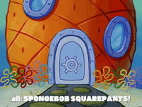season 8 GIF by SpongeBob SquarePants