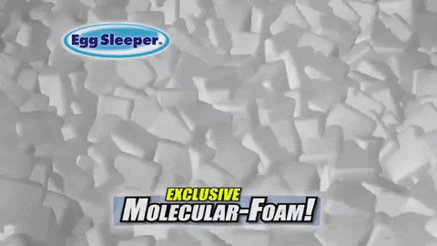 SmartyZebra giphygifmaker GIF