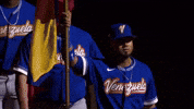 World Baseball Classic Sport GIF by MLB