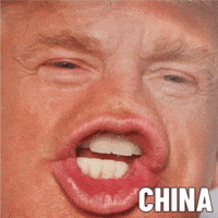 China Trump GIF