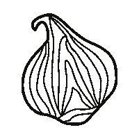 cudaway_knives montana onion color change bozeman Sticker