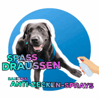 AndreaandtheDog draussen aatd andreaandthedog zeckenspray GIF