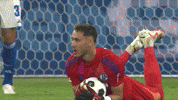 Football Ball GIF by FC Schalke 04