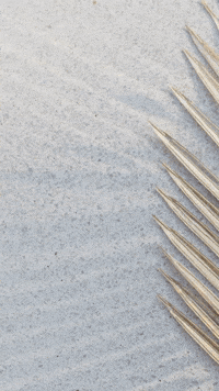 Colapreziosi summer holiday 2023