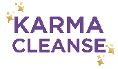 emilyaarons energy spiritual karma emily Sticker