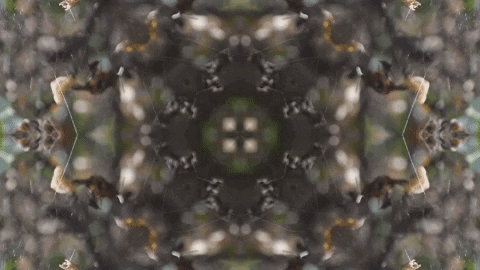 Art Love GIF by jorgemariozuleta