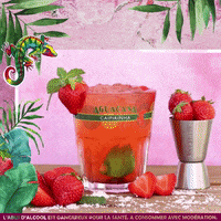 Aguacana_cachaca  GIF