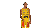 Ewe Baskets Sport Sticker by EWE Baskets Oldenburg