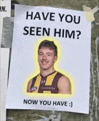 Afl Hawks GIF