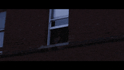 methyl ethel dancing GIF by 4AD