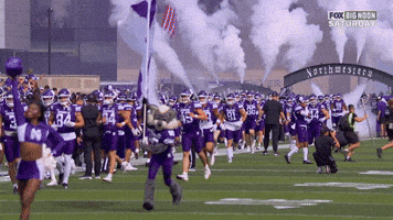 College Football GIF by Northwestern Athletics