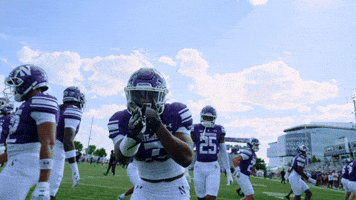 College Football Dancing GIF by Northwestern Athletics