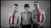 Gay GIF by Die PARTEI