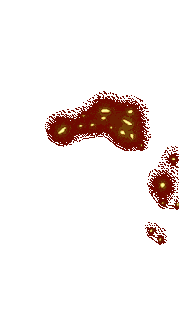 World Record Sport Sticker by EHF