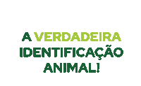 Boi Vaca Sticker by Primaza