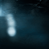 Call Of Duty Cod GIF by PlayStationDE