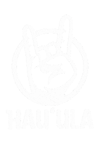 Red Raiders Football Sticker by Big Red Store