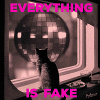 Good Morning Cats GIF by PEEKASSO