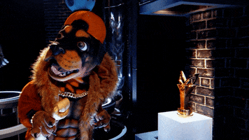 Fox GIF by The Masked Singer